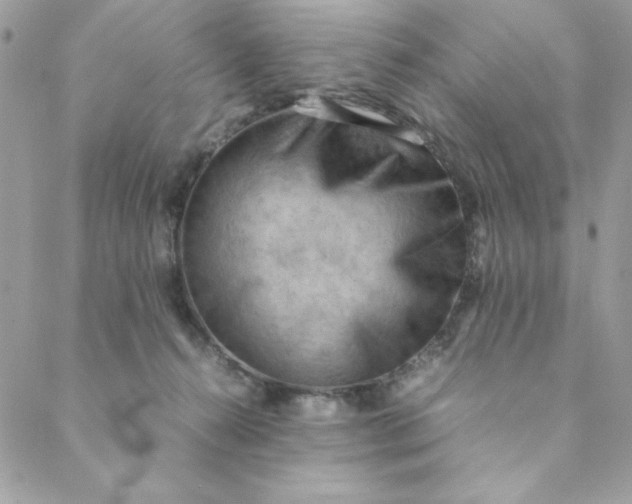 X0000088740272200706141710