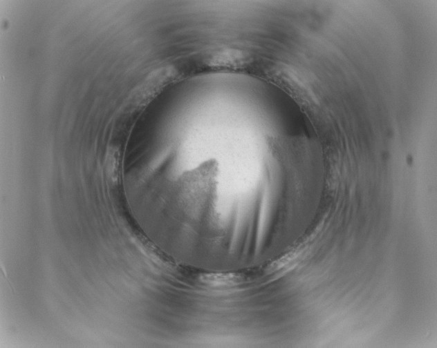 X0000088740273200706141710