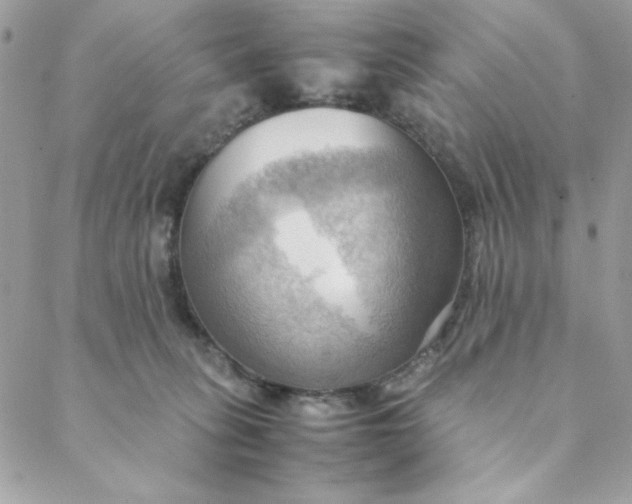 X0000088740275200706141711