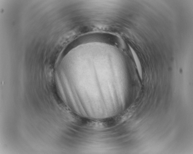 X0000088740276200706141711