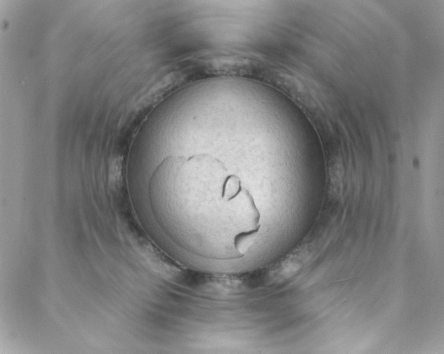 X0000088740278200706141711