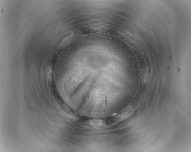 X0000088740279200706141711