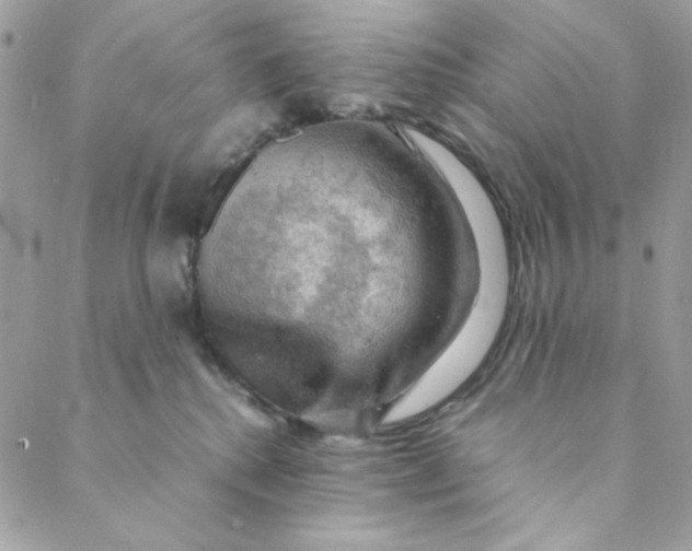 X0000088740280200706141711