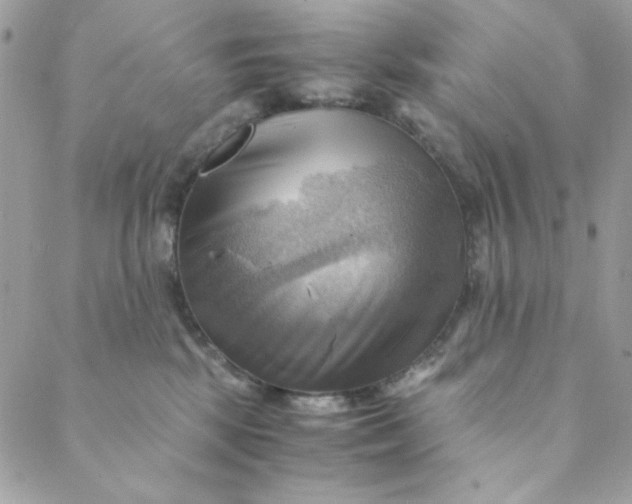 X0000088740281200706141711