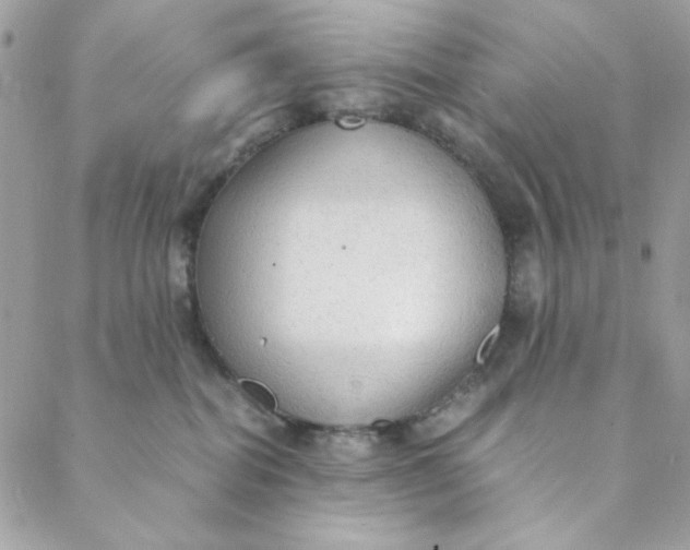 X0000088740282200706141711