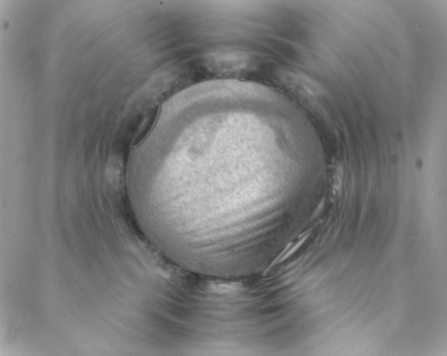 X0000088740283200706141711