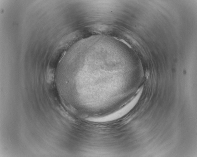 X0000088740284200706141711