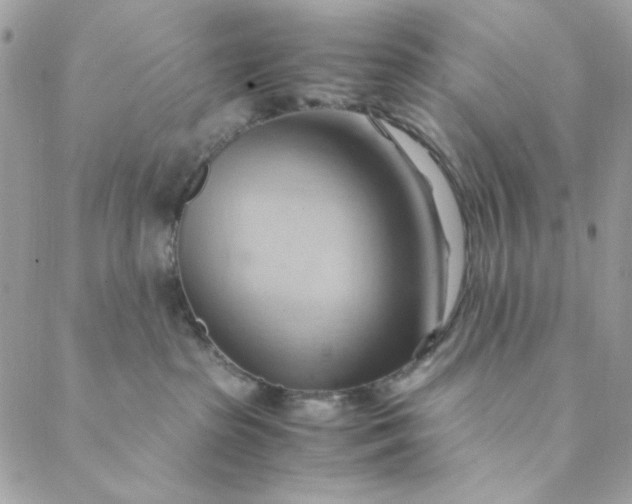 X0000088740285200706141711