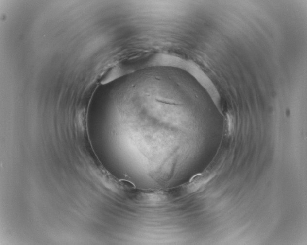 X0000088740286200706141711