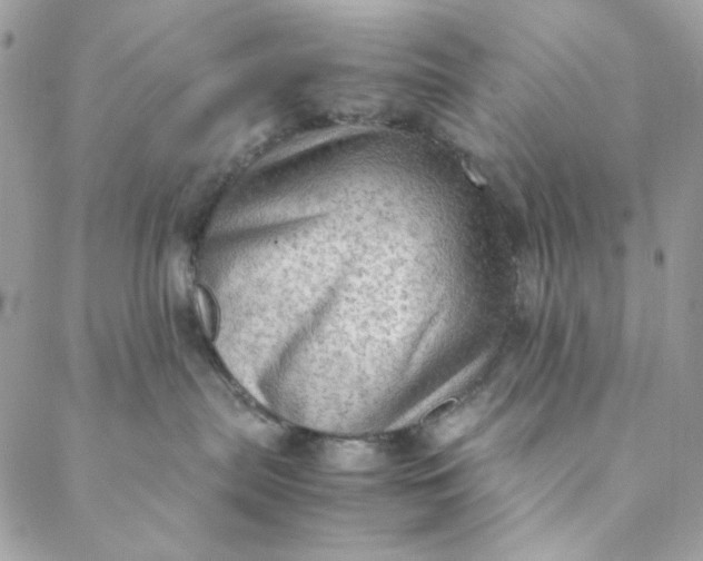 X0000088740287200706141711