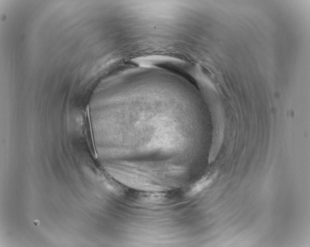 X0000088740288200706141711