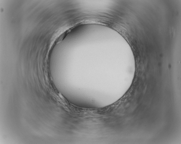 X0000088740289200706141710