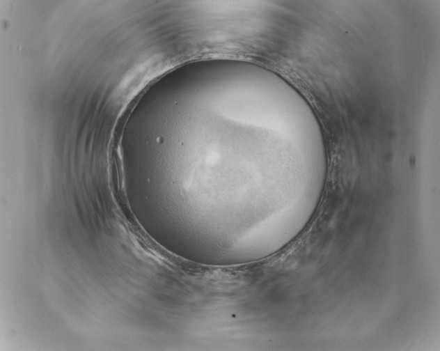 X0000088740290200706141710