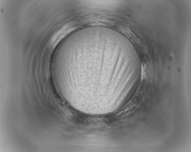 X0000088740291200706141710