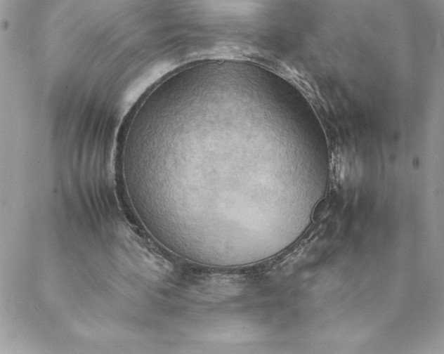 X0000088740292200706141710