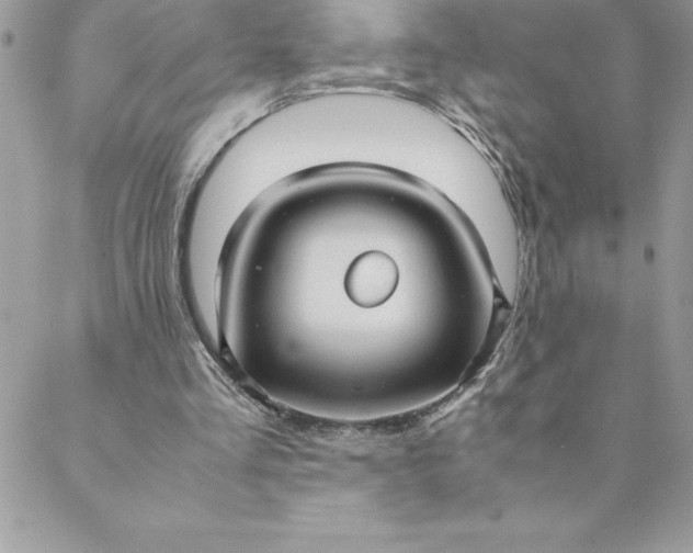 X0000088740293200706141710