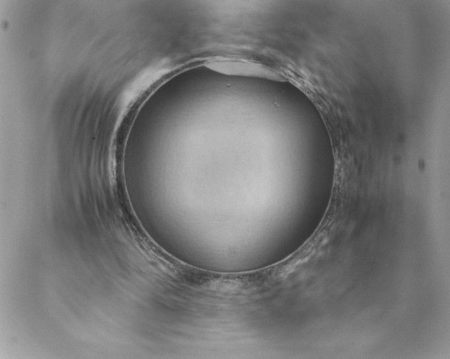 X0000088740294200706141710