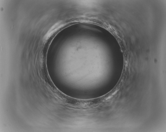 X0000088740295200706141710