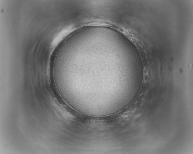 X0000088740296200706141710