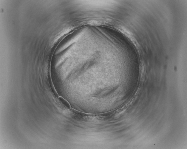 X0000088740297200706141710