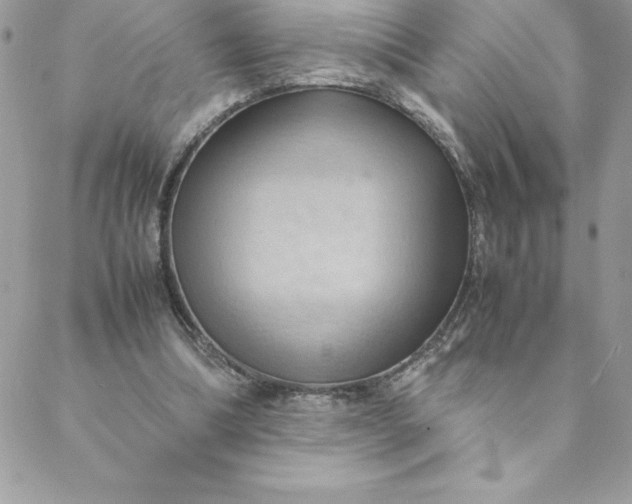 X0000088740298200706141710