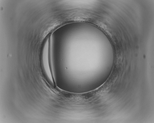 X0000088740299200706141710