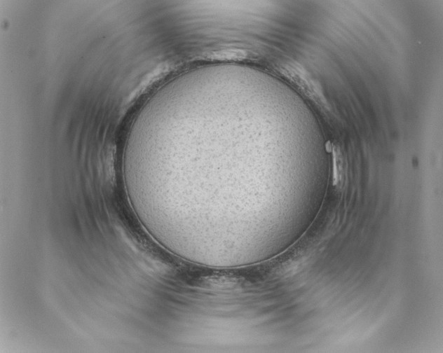 X0000088740300200706141710