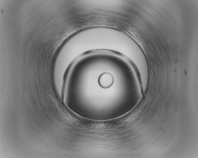 X0000088740301200706141710