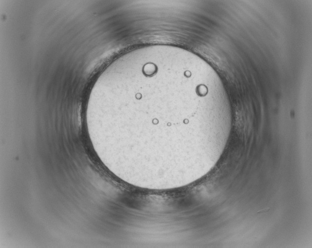 X0000088740302200706141710