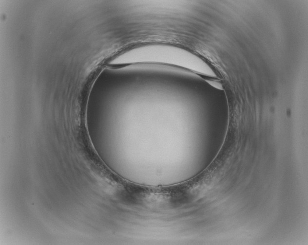 X0000088740303200706141710