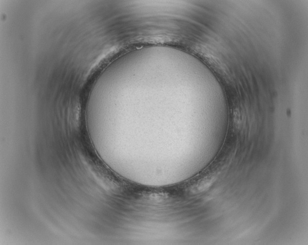 X0000088740304200706141710