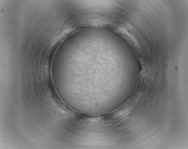 X0000088740306200706141710