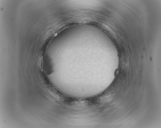 X0000088740307200706141710