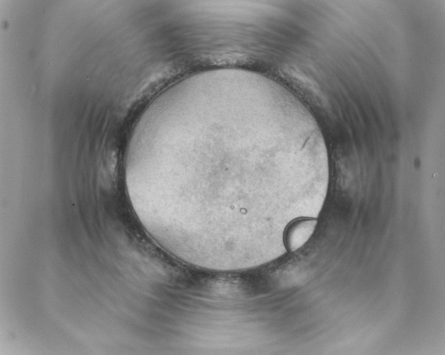 X0000088740308200706141710