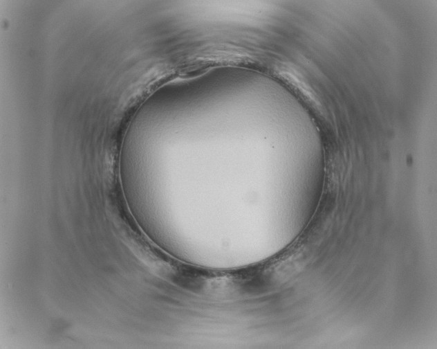 X0000088740309200706141710