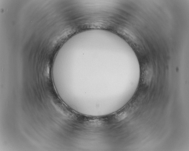 X0000088740310200706141710