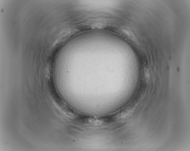 X0000088740311200706141710