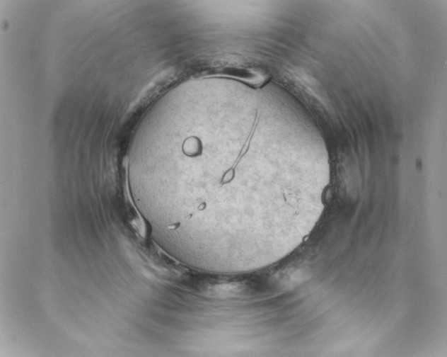 X0000088740312200706141710