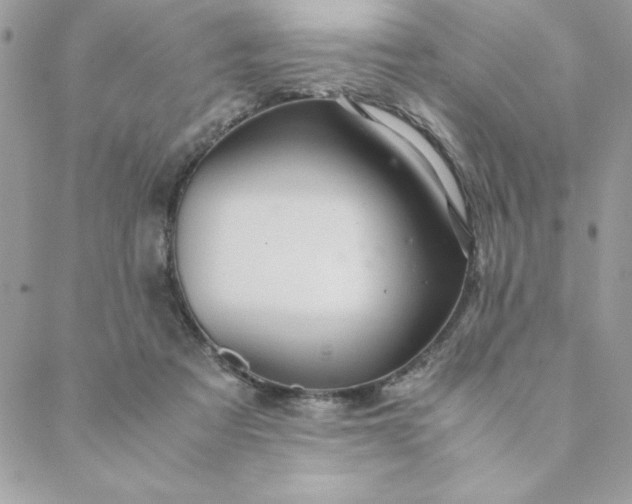 X0000088740313200706141710