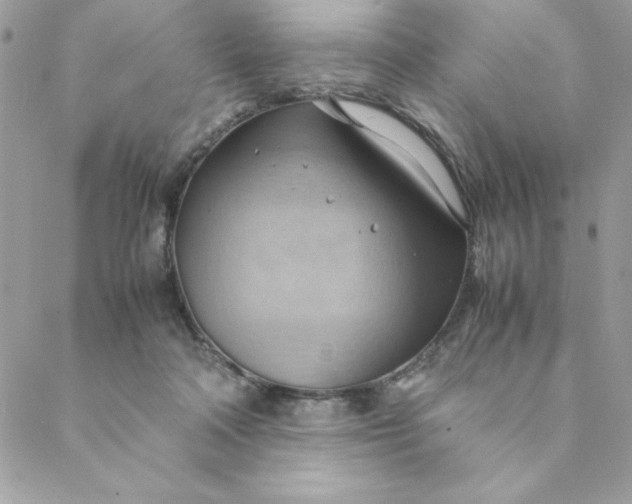 X0000088740314200706141710