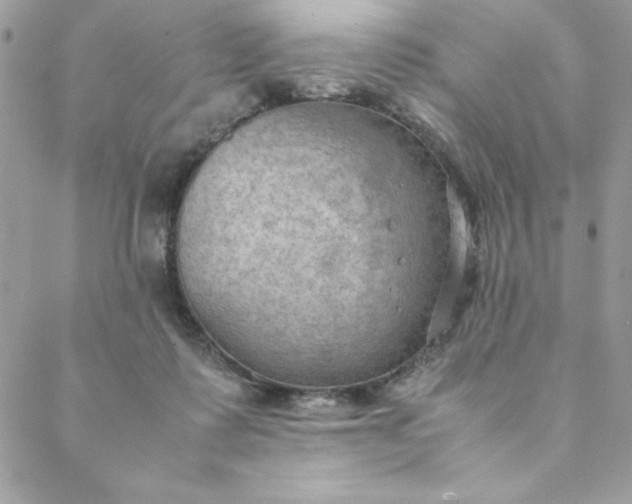 X0000088740315200706141710