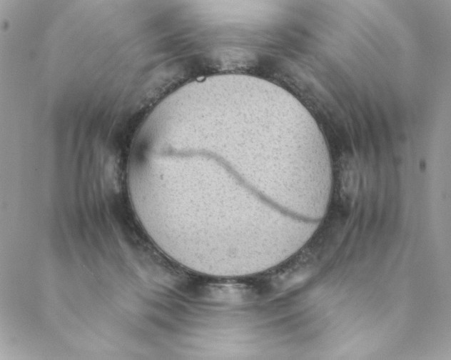 X0000088740316200706141710