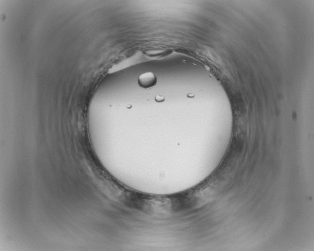 X0000088740317200706141709