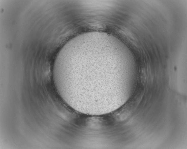 X0000088740320200706141709