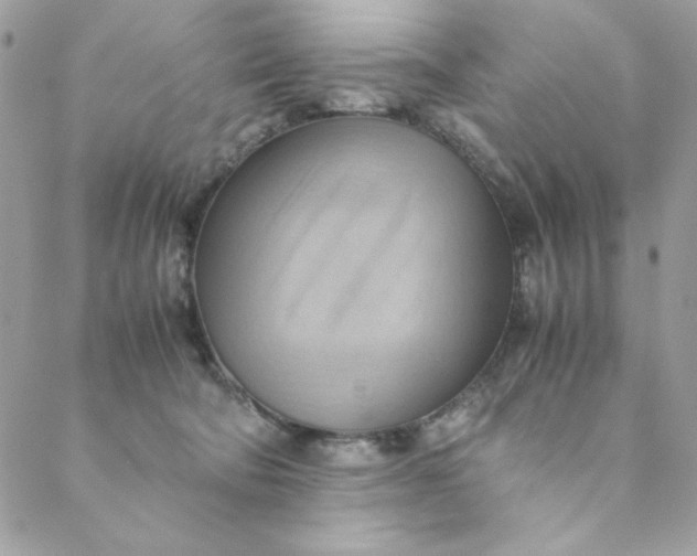 X0000088740322200706141709