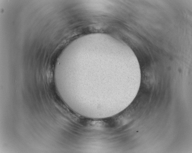 X0000088740324200706141709