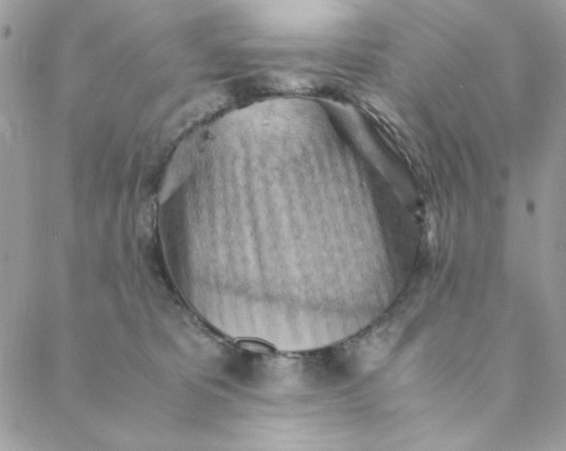 X0000088740325200706141709