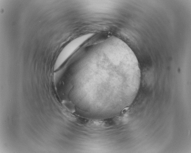 X0000088740329200706141709