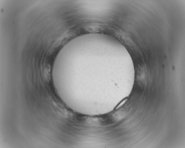 X0000088740332200706141709