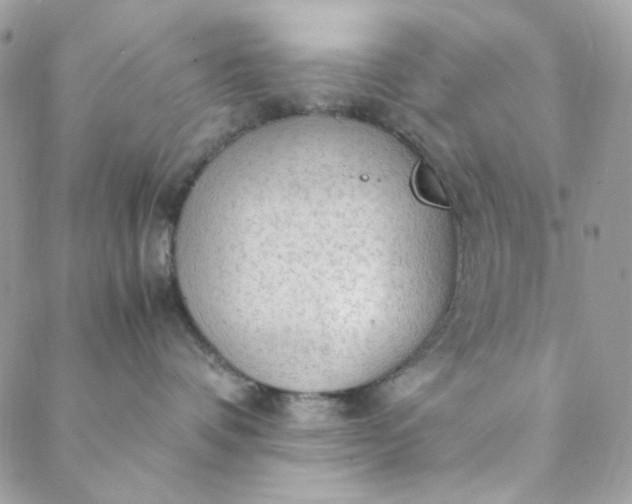 X0000088740336200706141709